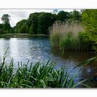 Lac - Parc de Mariemont - Belgium