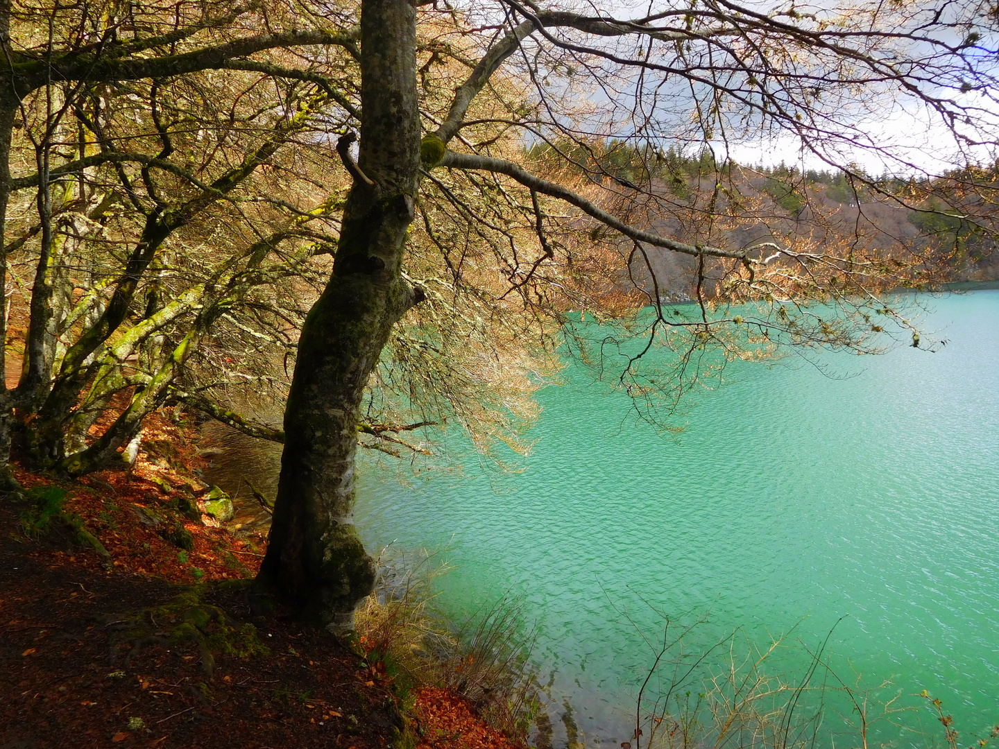 Lac Pavin