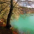 Lac Pavin