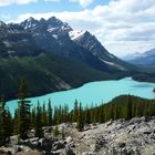 lac peyto