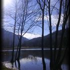 Lac Saint-Clair (Détrier) 2