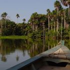 Lac Sandoval, Madre de Dios, Pérou