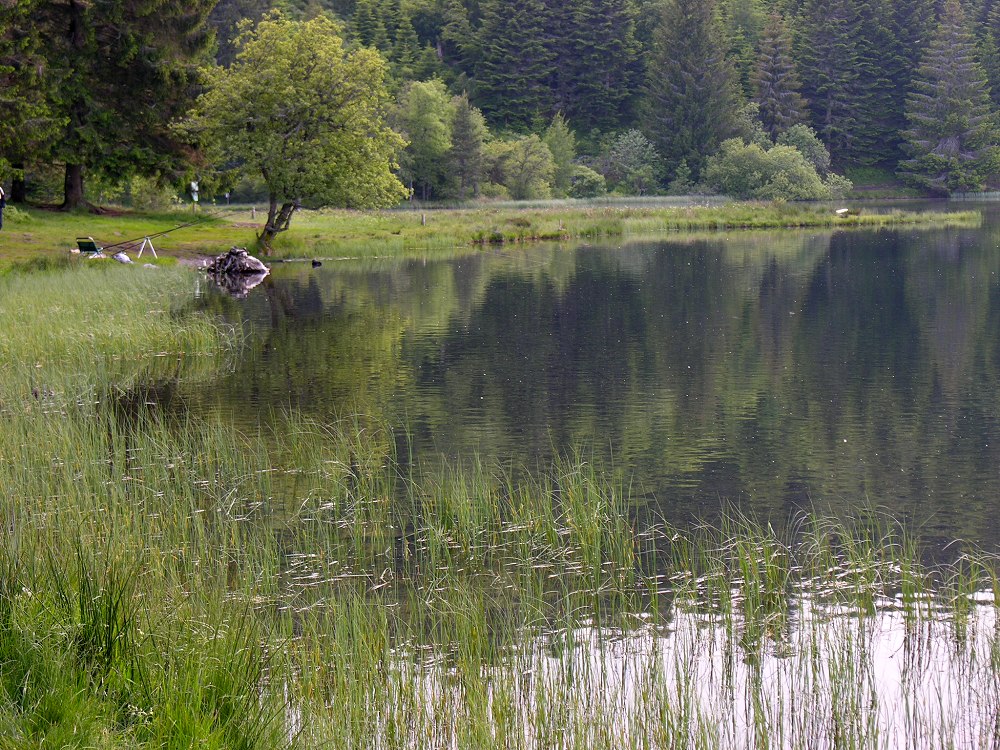 Lac Servière, Puy-de-Dôme, Auvergne, Frankreich