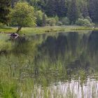 Lac Servière, Puy-de-Dôme, Auvergne, Frankreich