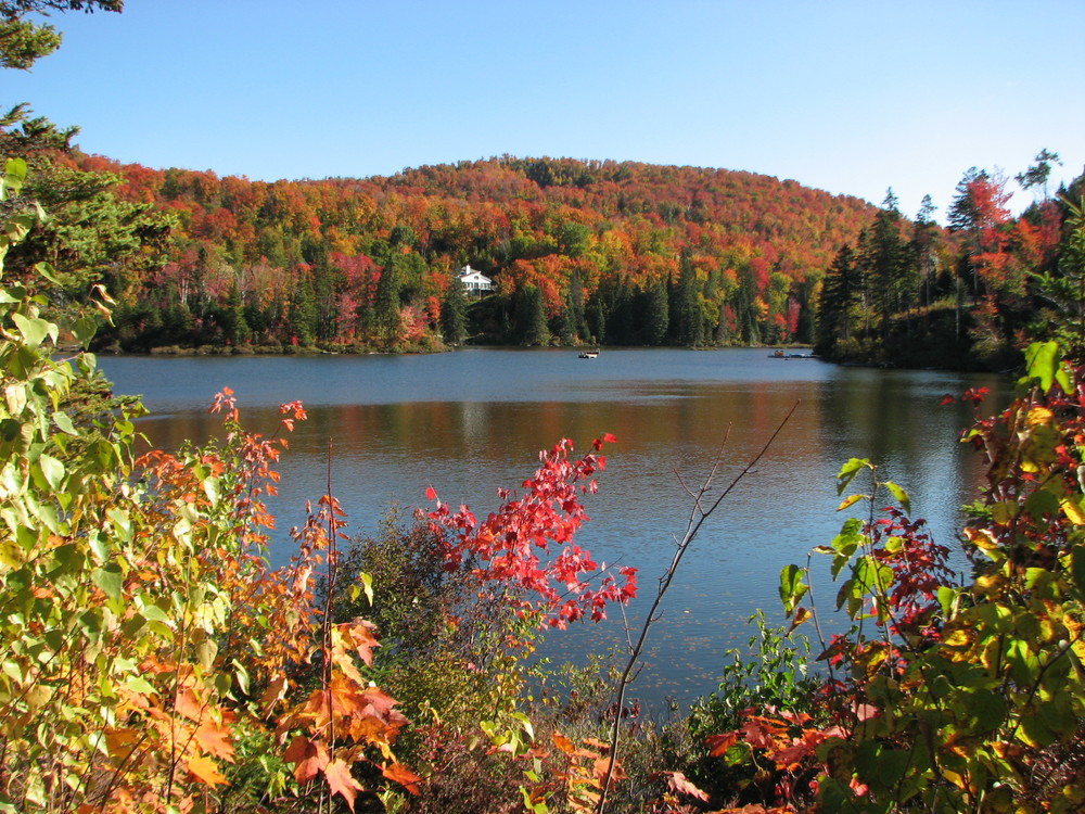 Lac Solitude, SaintFaustin/LacCarré (Québec) Image & Photo de