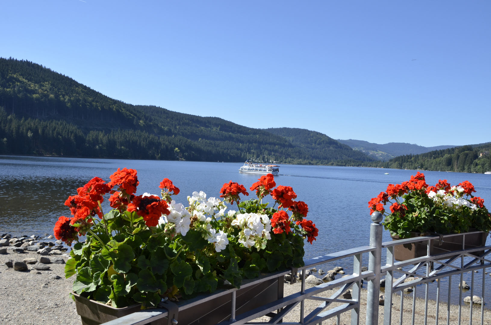 Lac Titisee en Forêt Noire