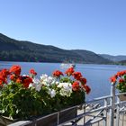 Lac Titisee en Forêt Noire