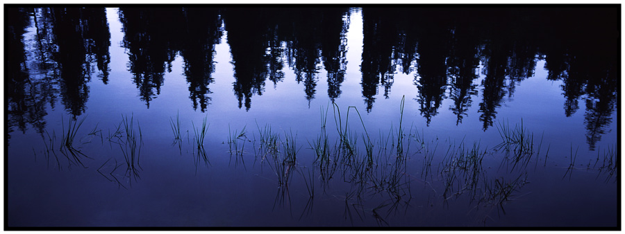 Lac Vert - Spiegelung