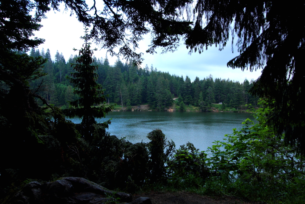 Lac Vert (Vogesen)