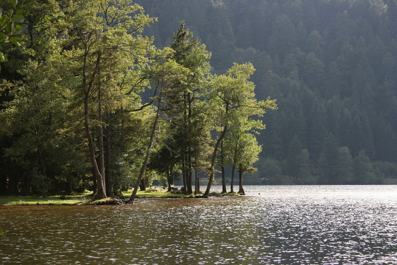 lac vosgien