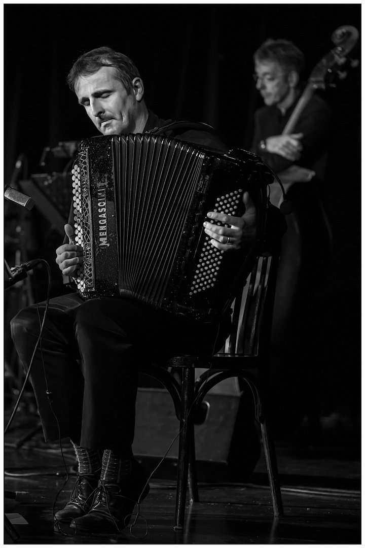 L'accordéoniste