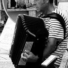 L'accordéoniste...