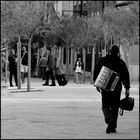 L'accordeoniste