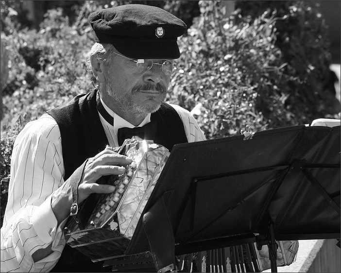 l´accordeoniste