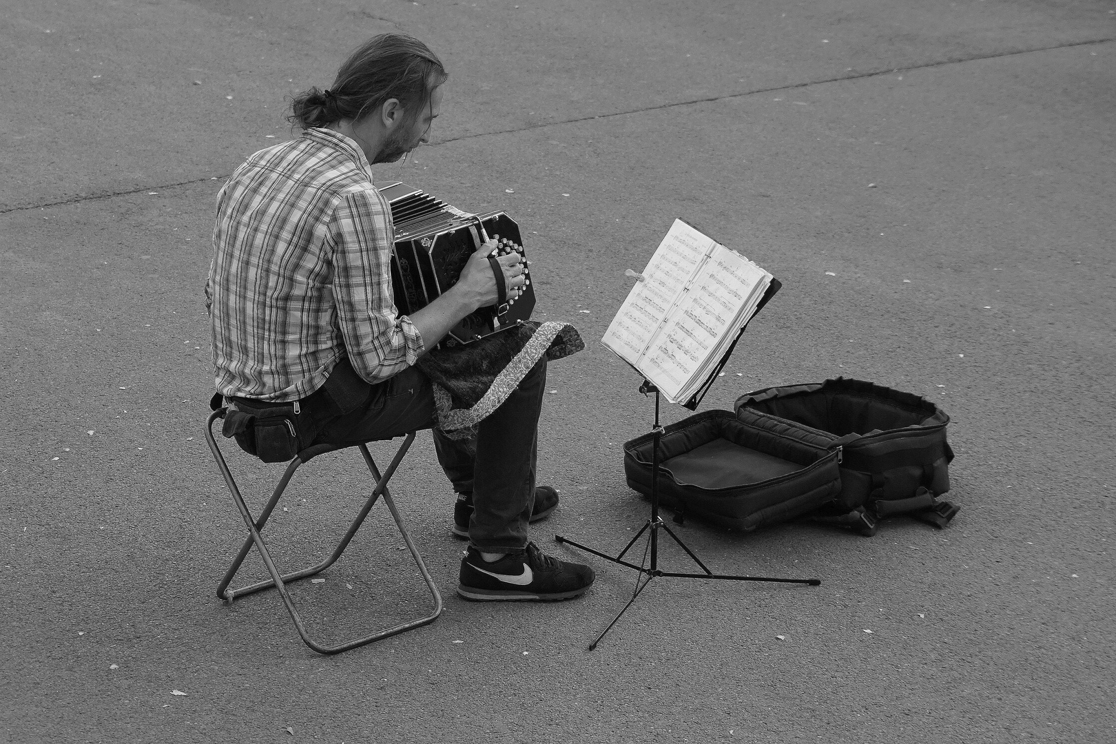 l'accordéoniste