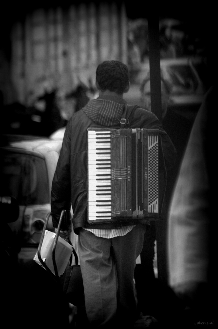 L'accordéoniste de Notre Dame.