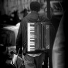 L'accordéoniste de Notre Dame.