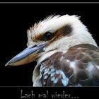 lach mal wieder...lachender hans...:-)