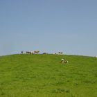 Lachen AR in der Gemeinde Walzenhausen im Kanton Appenzell-Ausserrhoden, Schweiz