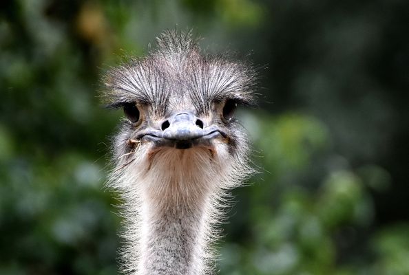 Lachen einstellen, anders freuen