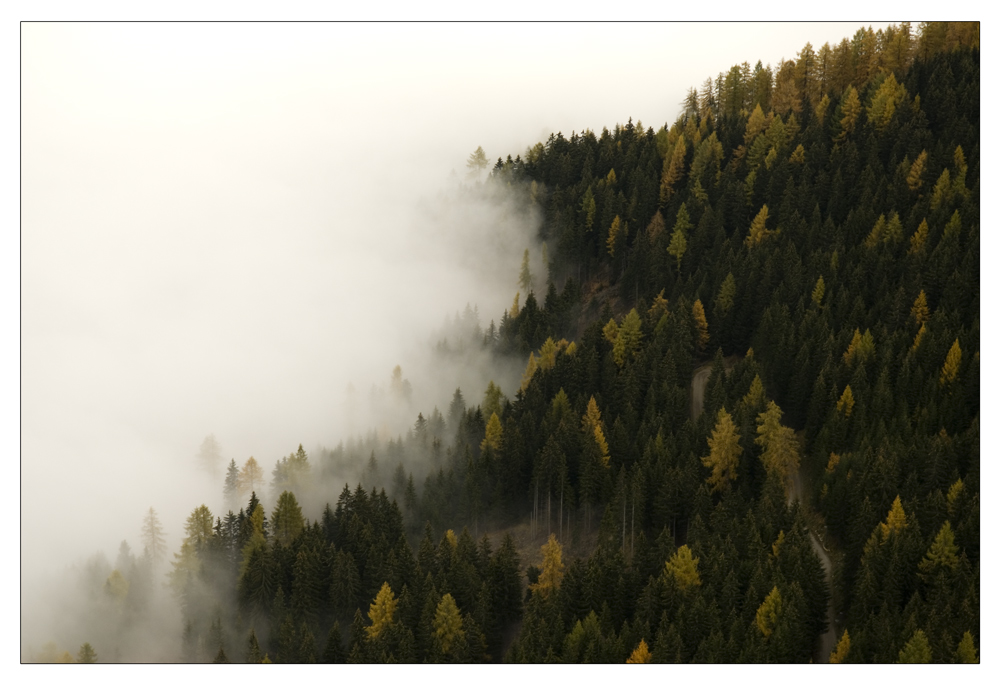 Lachend dem Nebel entgegen