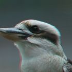 Lachender Hans (Anaglyphe)