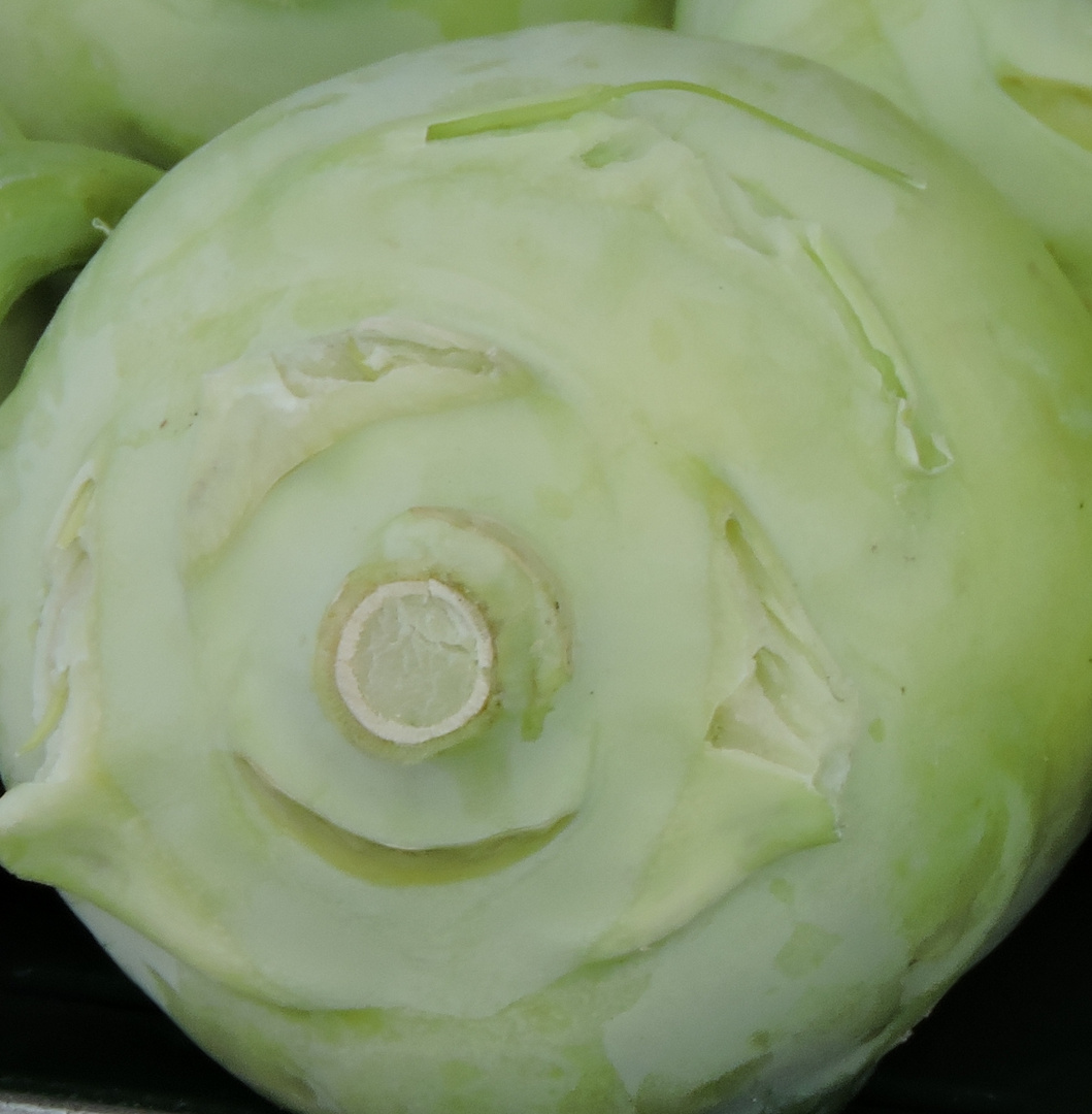 lachender Kohlrabi