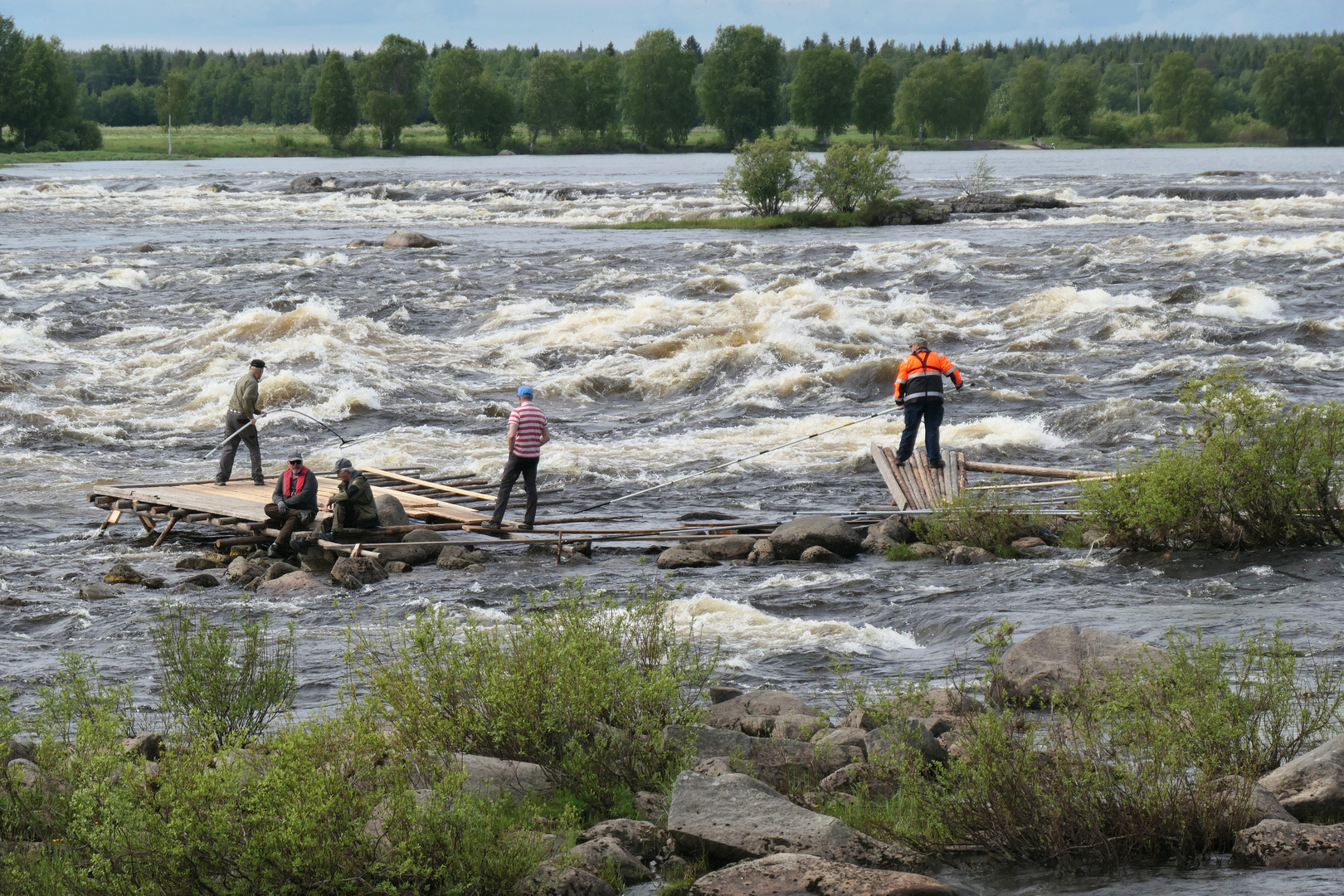 Lachs fischen am Kukkolankoski