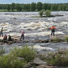 Lachs fischen am Kukkolankoski