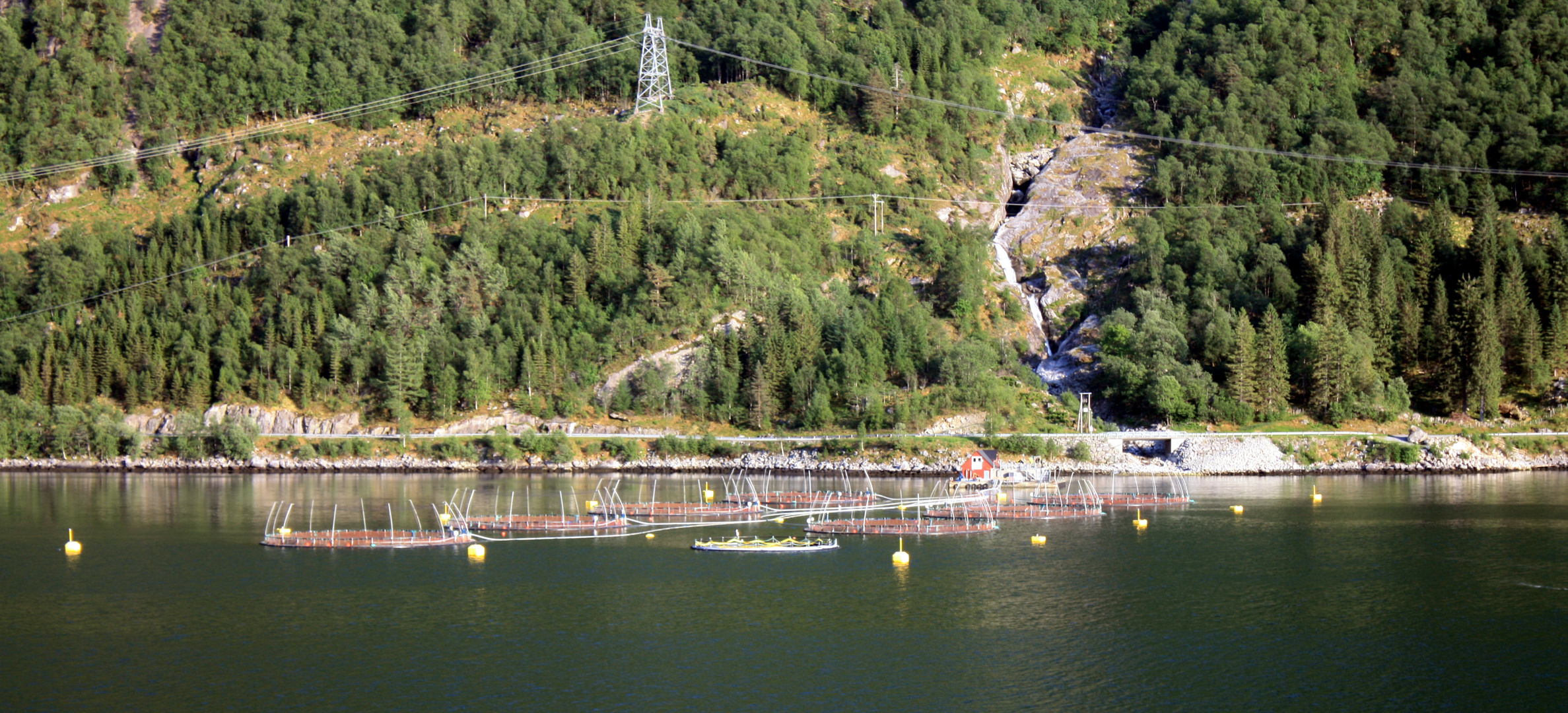 Lachsfarm in Norwegen