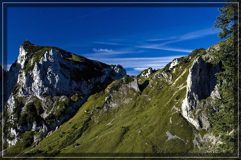 Lachspitze von Herr Hund 