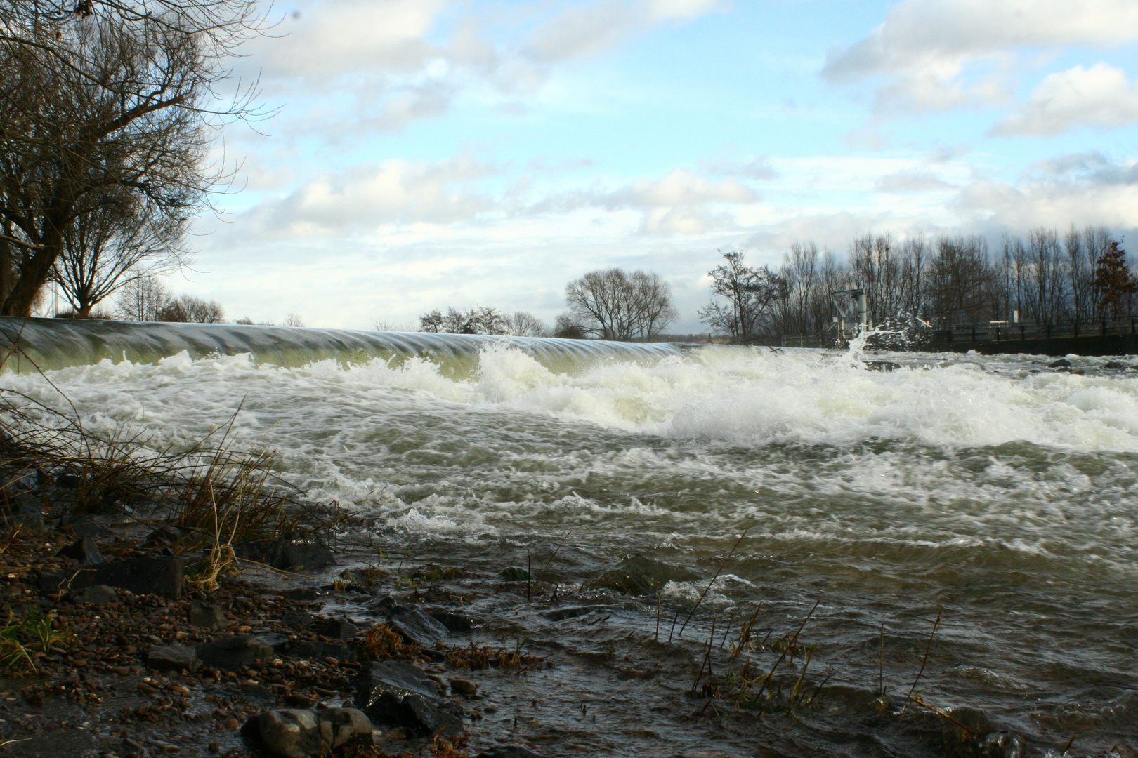 Lachssperre Siegburg