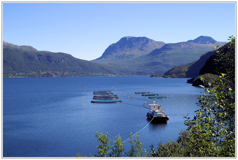 Lachszuchtfarm im Fjord