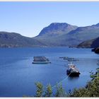 Lachszuchtfarm im Fjord