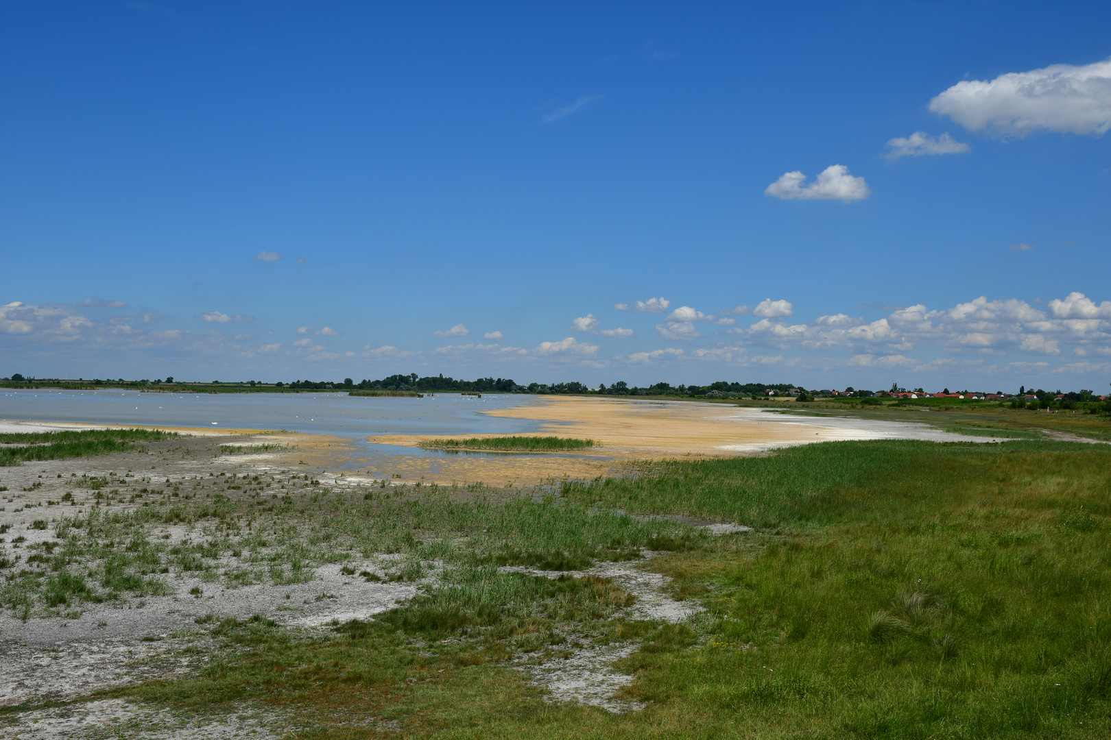 Lacke im Burgenland bei Frauenkirchen