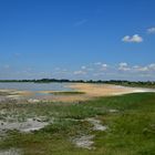 Lacke im Burgenland bei Frauenkirchen