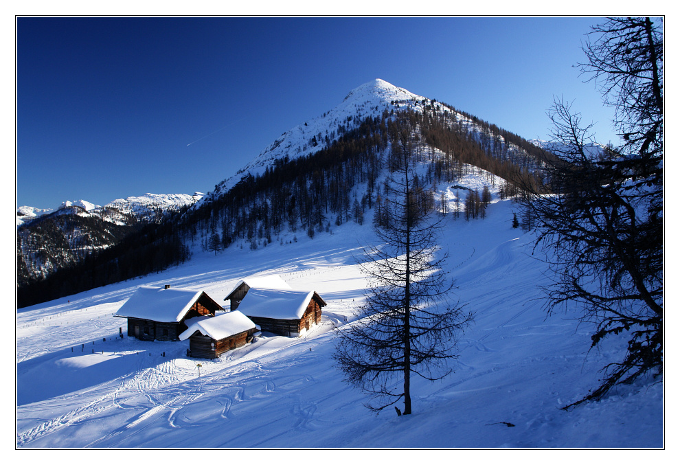 Lackenalm und Lackenkogel