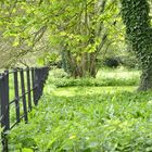 Lacock Garden Fence 862