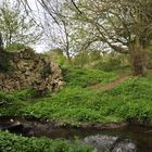 Lacock Garden Stream 853