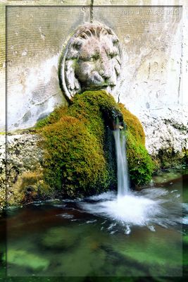 Laconi - Funtana 'e Ladus