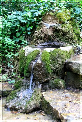 Laconi - Parco Aymerich