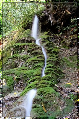 Laconi - Parco Aymerich