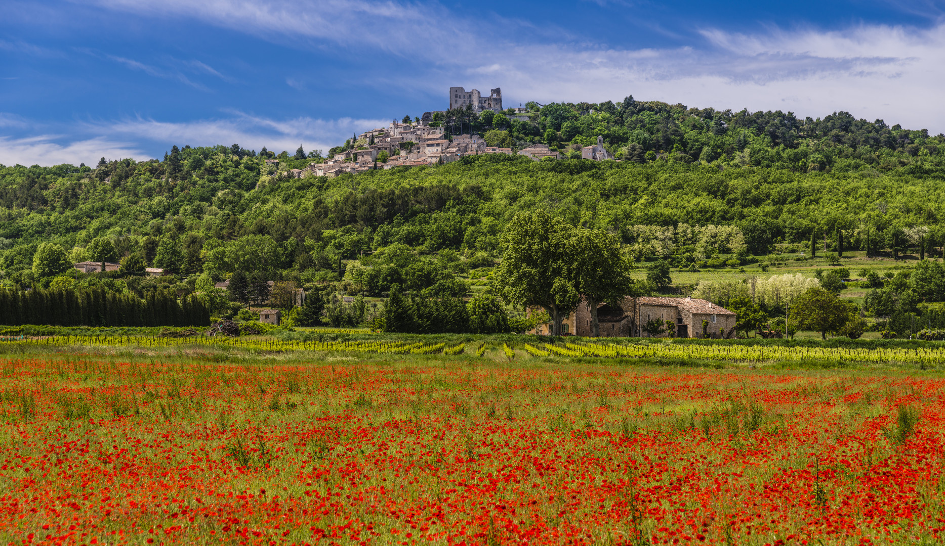 Lacoste, Vaucluse, Provence, Frankreich