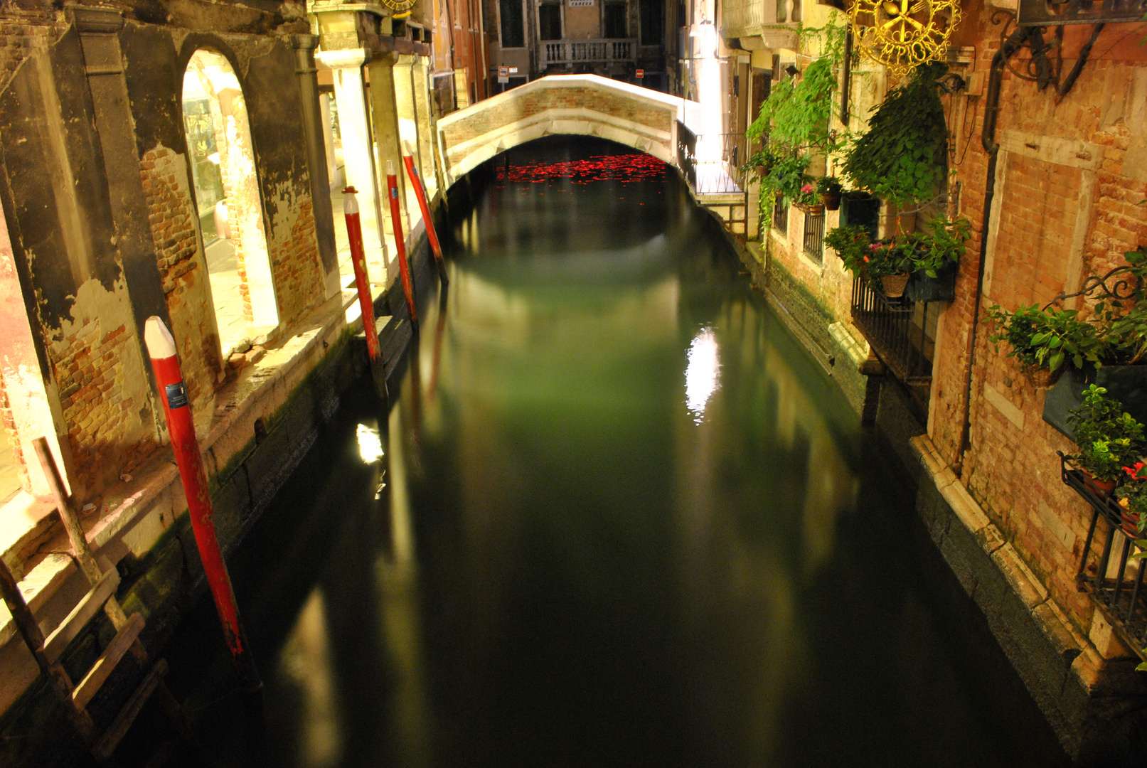 l'acqua cheta....