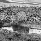 L'acqua è preziosa