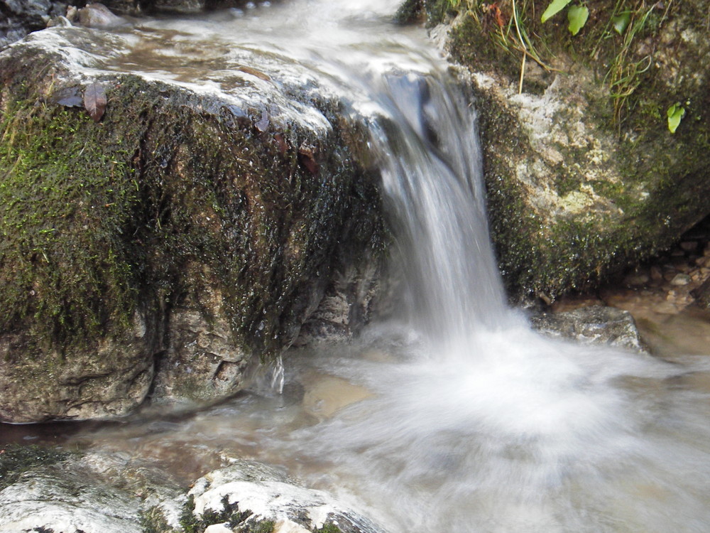 l'acqua è vita