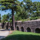 L'Acquedotto Paolo a Villa Doria Pamphilj