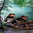 Lacs de Plitvice (Croatie)