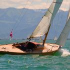 Lacustre am Wind auf dem Bodensee