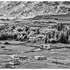 Ladakh 1979